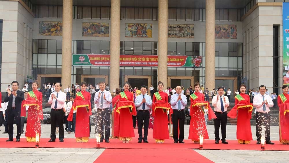 Bắc Giang tổ chức Hội nghị trực tuyến xúc tiến tiêu thụ vải thiều năm 2022